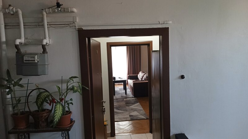 Lev Tolstoi, vand garsoniera tip open space.