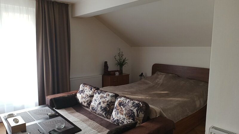 Lev Tolstoi, vand garsoniera tip open space.