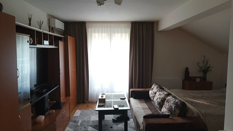 Lev Tolstoi, vand garsoniera tip open space.