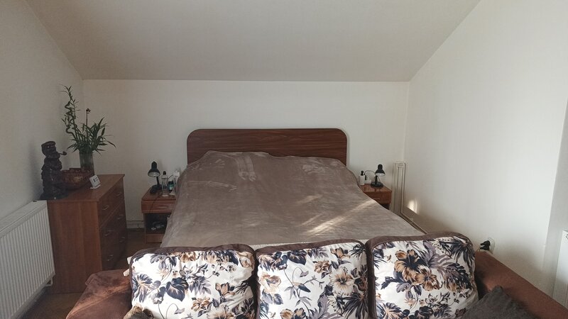 Lev Tolstoi, vand garsoniera tip open space.