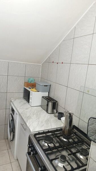 Lev Tolstoi, vand garsoniera tip open space.